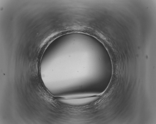 X0000085211214200703231458