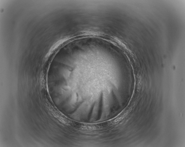 X0000085211215200703231458