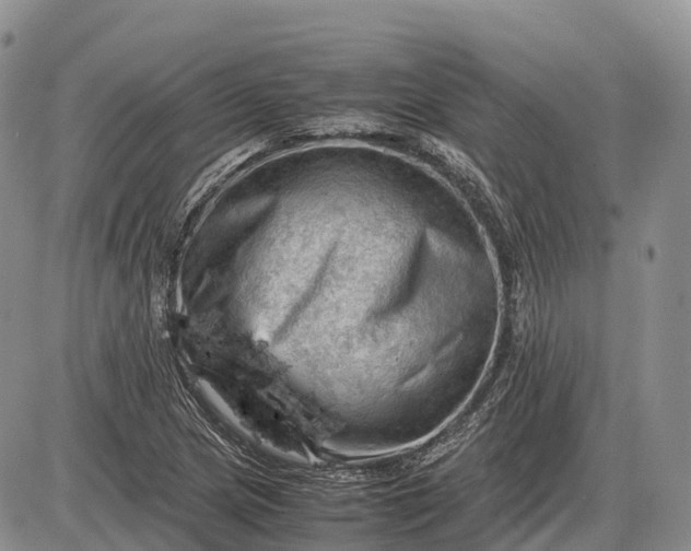 X0000085211217200703231458