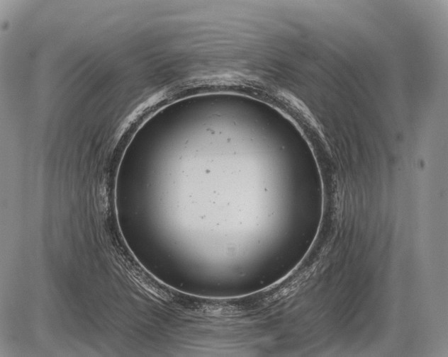 X0000085211218200703231458