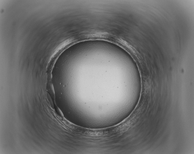 X0000085211219200703231458