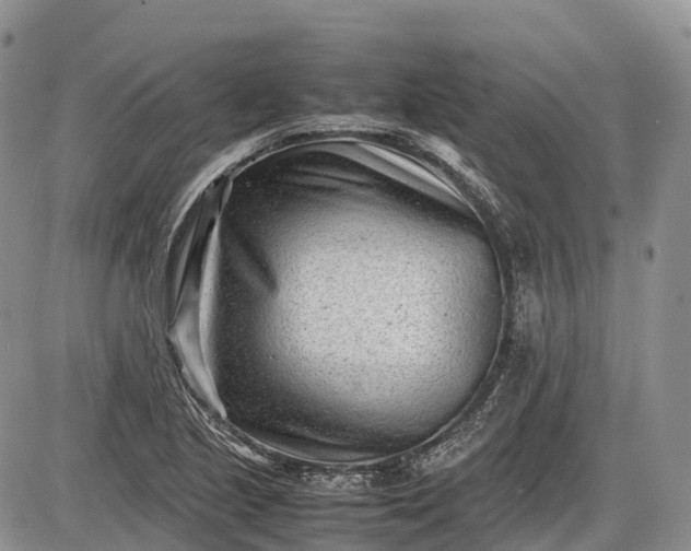 X0000085211221200703231458