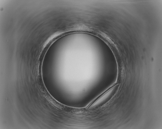 X0000085211222200703231458