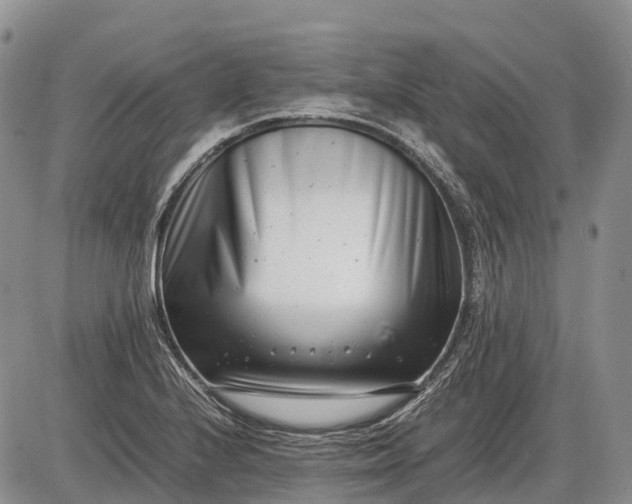 X0000085211224200703231458