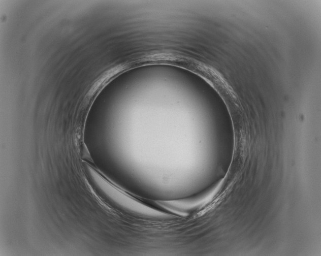 X0000085211225200703231458