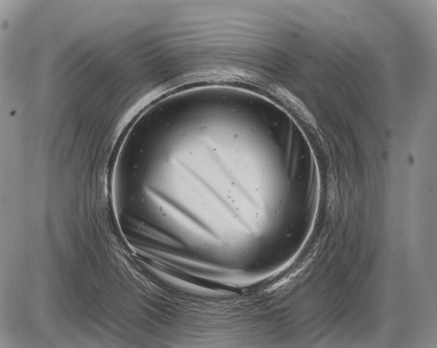 X0000085211226200703231458