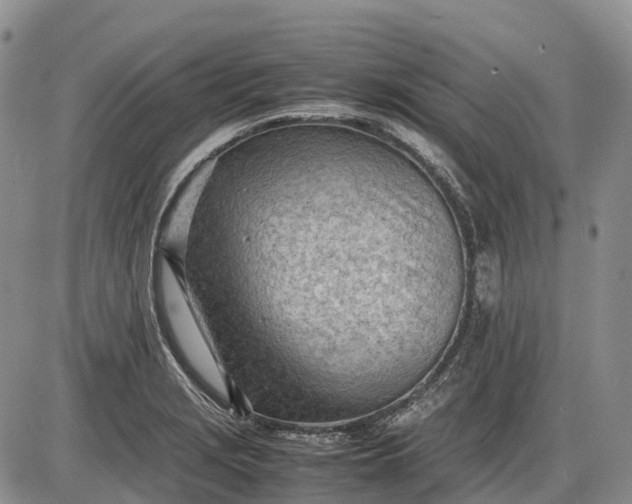 X0000085211229200703231458