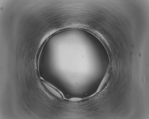 X0000085211230200703231458