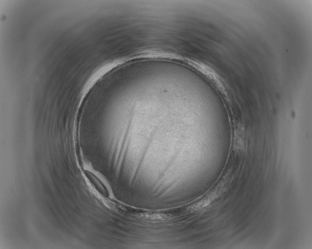 X0000085211231200703231458