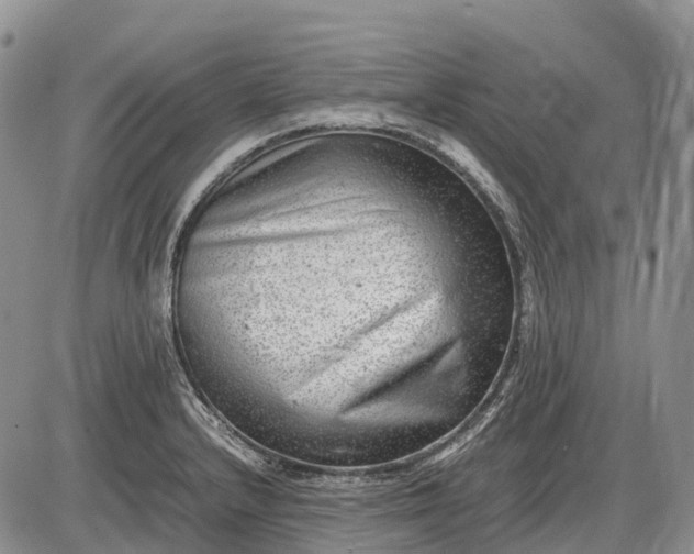 X0000085211232200703231458