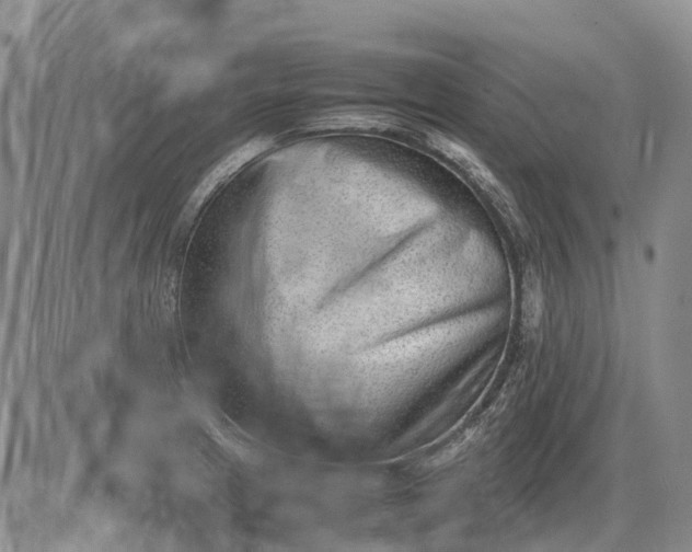 X0000085211233200703231458