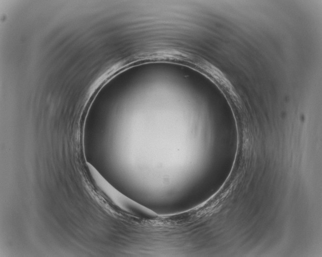 X0000085211234200703231458