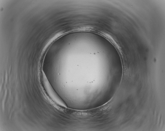 X0000085211235200703231458