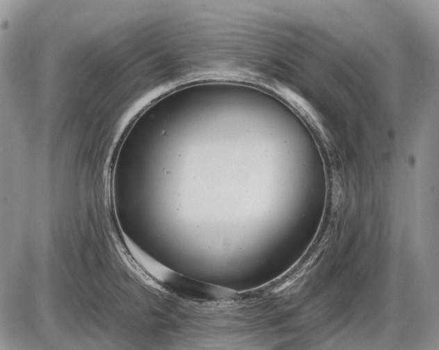 X0000085211238200703231459