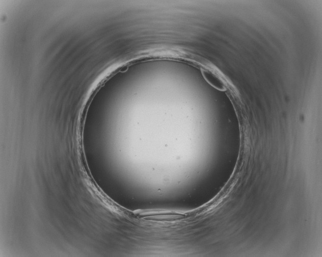 X0000085211240200703231459