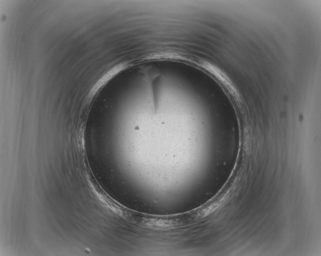 X0000085211241200703231459