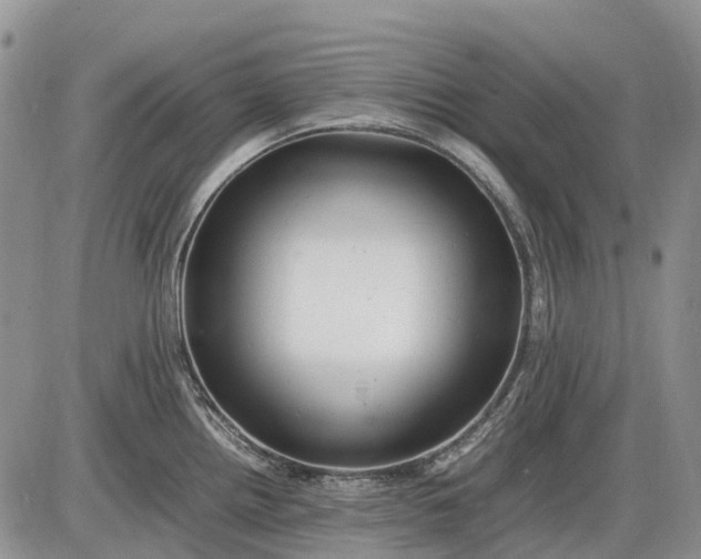 X0000085211242200703231459