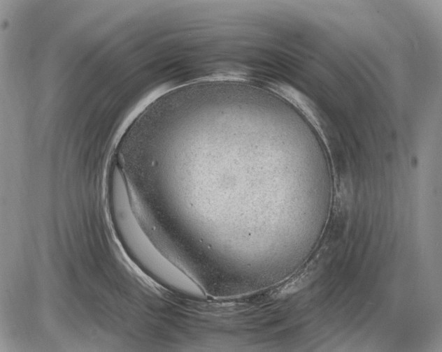 X0000085211243200703231459