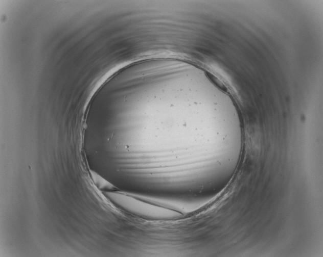 X0000085211244200703231459