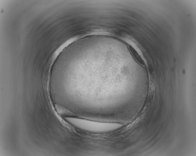 X0000085211245200703231459