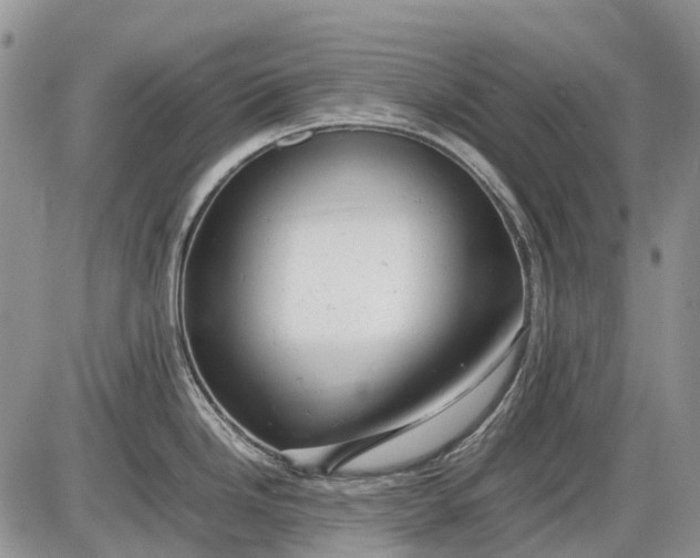 X0000085211246200703231459