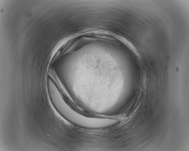 X0000085211247200703231459