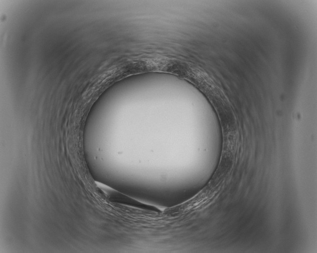 X0000085211249200703231458