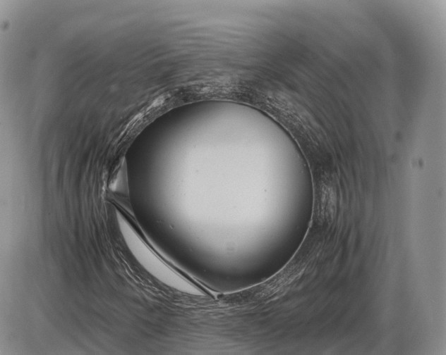 X0000085211250200703231458