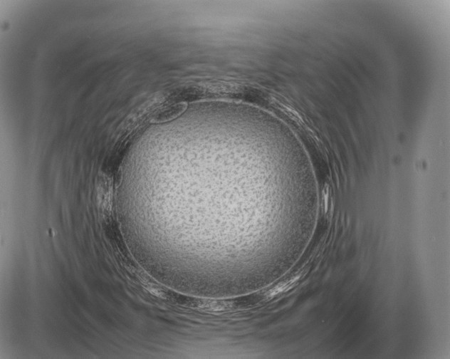 X0000085211251200703231458