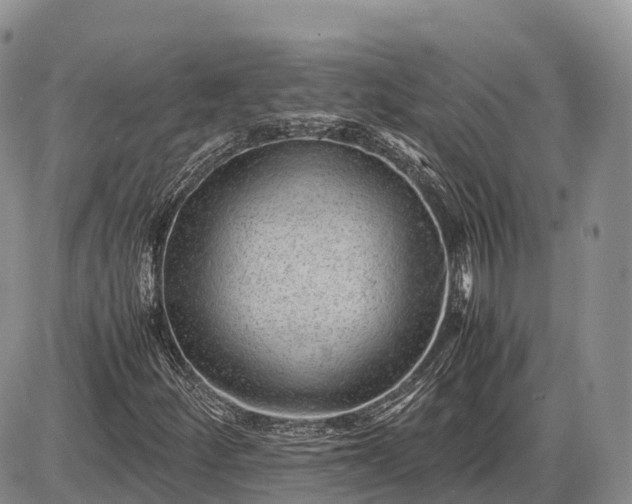 X0000085211252200703231458