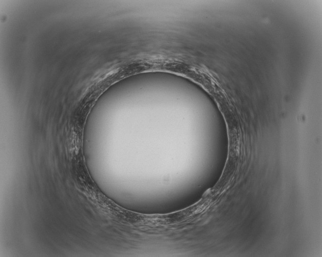 X0000085211253200703231458