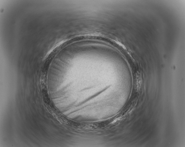 X0000085211255200703231458