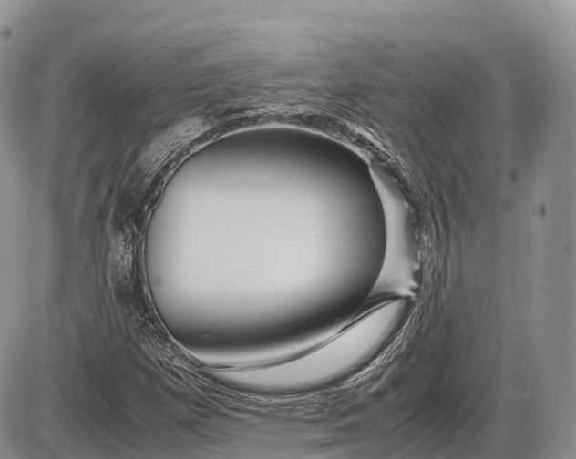 X0000085211257200703231458