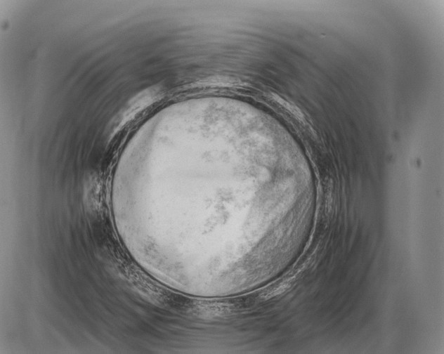 X0000085211258200703231458