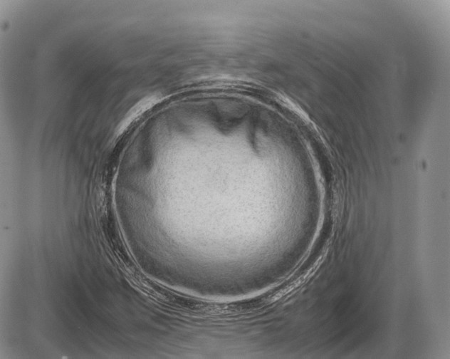 X0000085211259200703231458