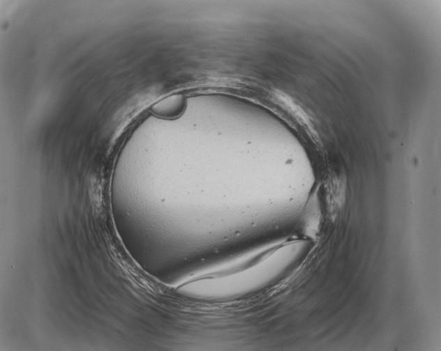 X0000085211260200703231458