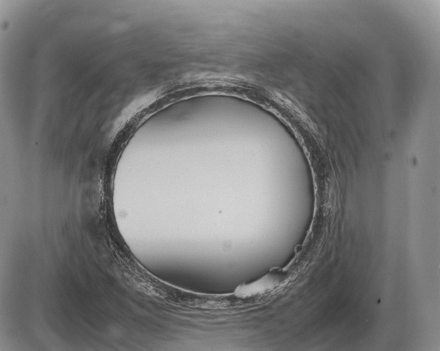 X0000085211261200703231458