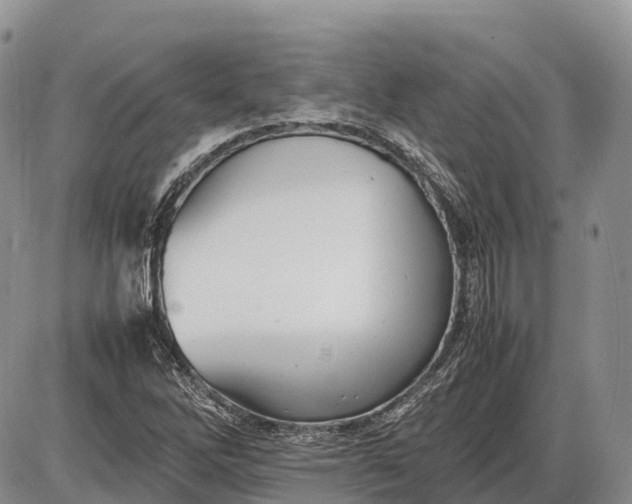 X0000085211262200703231458