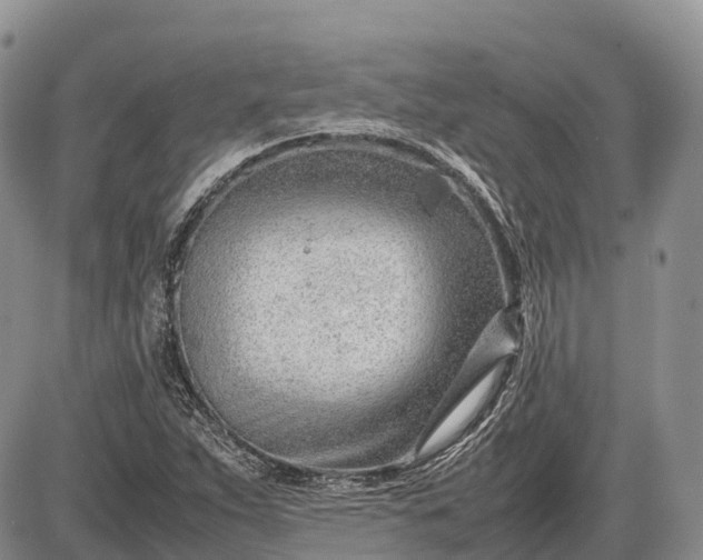 X0000085211263200703231458