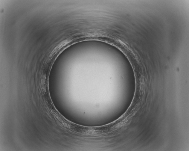 X0000085211265200703231458