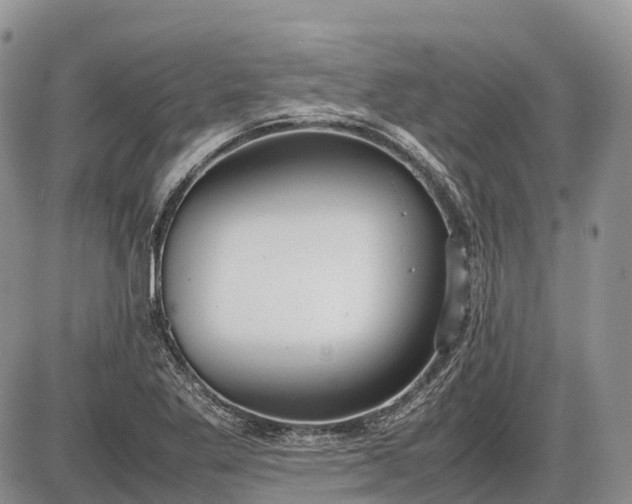 X0000085211269200703231458