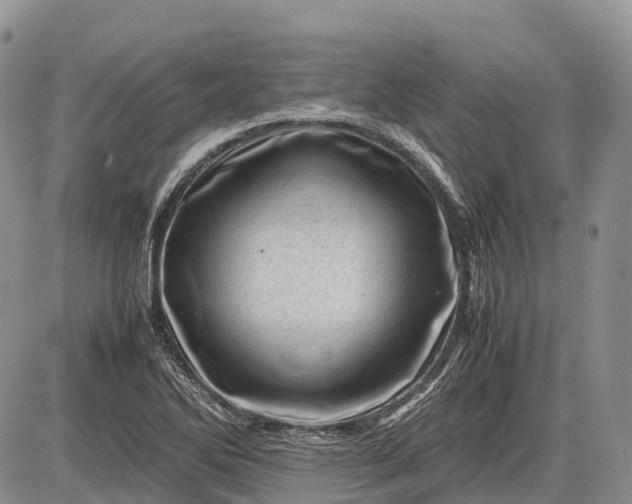 X0000085211270200703231458