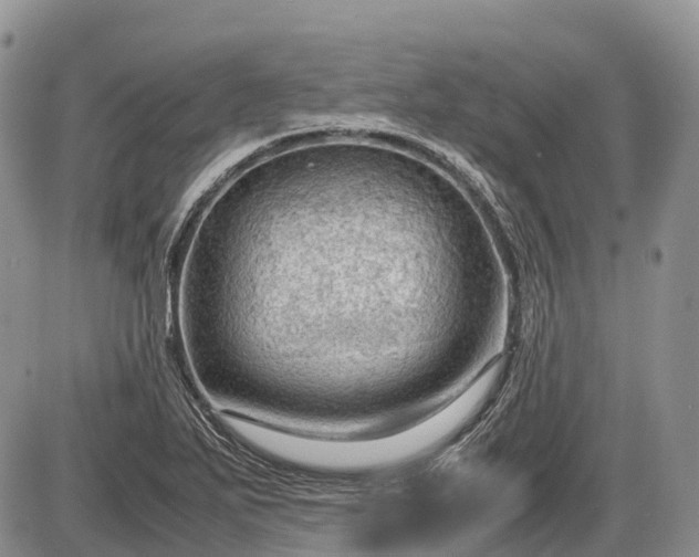 X0000085211271200703231458