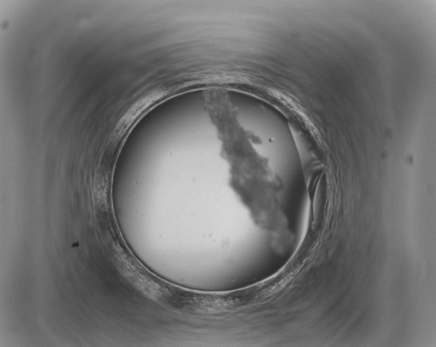 X0000085211273200703231458