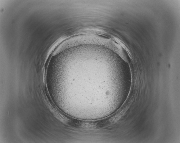 X0000085211275200703231457