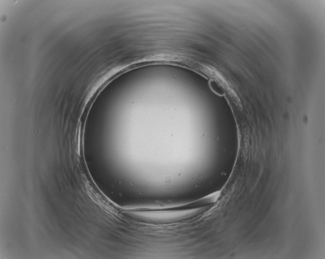 X0000085211276200703231457