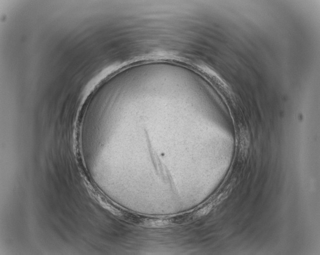 X0000085211278200703231457