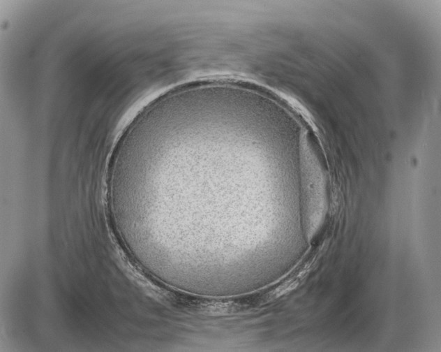 X0000085211279200703231457