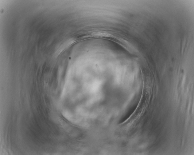 X0000085211281200703231457