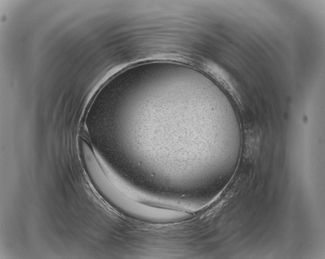 X0000085211284200703231457